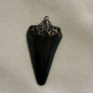 Vintage Polished Shark’s Tooth Pendant for unisex necklace (not included)
